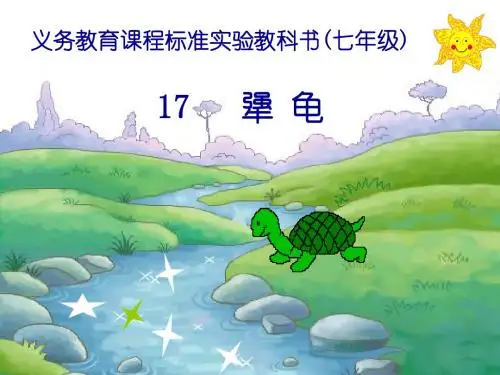 初中语文《犟龟》(共37张)ppt56