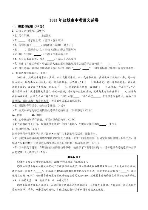 2023年江苏省盐城市中考语文真题(含解析)