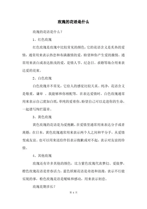 玫瑰的花语是什么