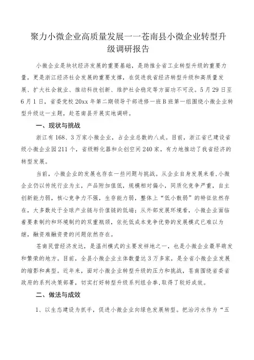 聚力小微企业高质量发展——苍南县小微企业转型升级调研报告