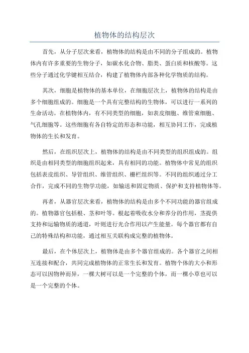 植物体的结构层次