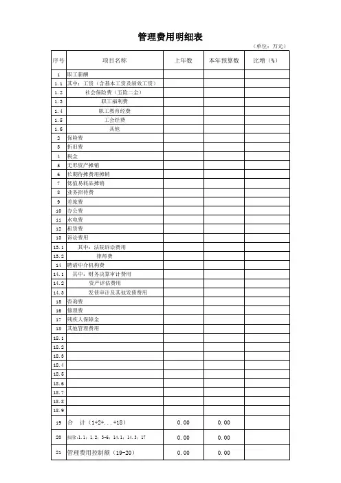 管理费用明细表