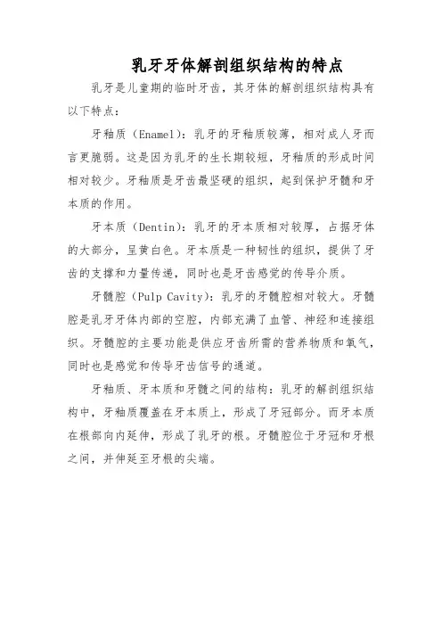 乳牙牙体解剖组织结构的特点