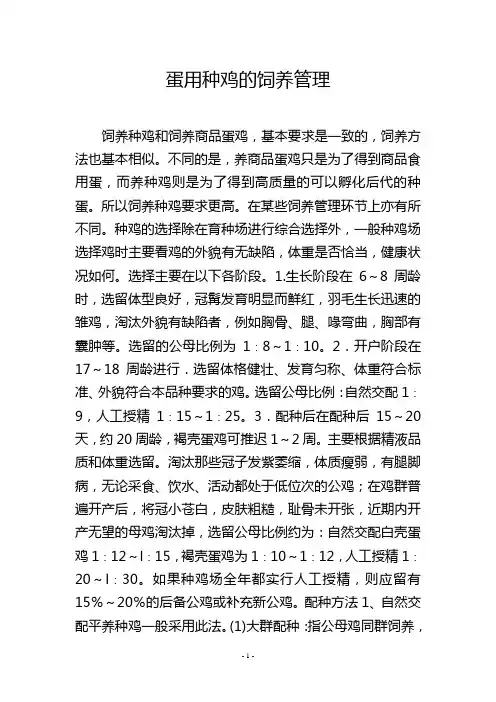 蛋用种鸡的饲养管理