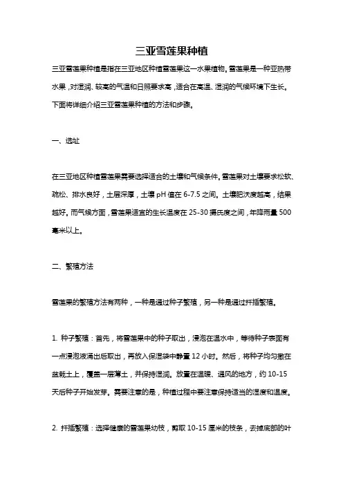三亚雪莲果种植