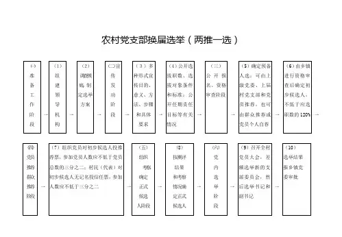 农村党支部换届选举03