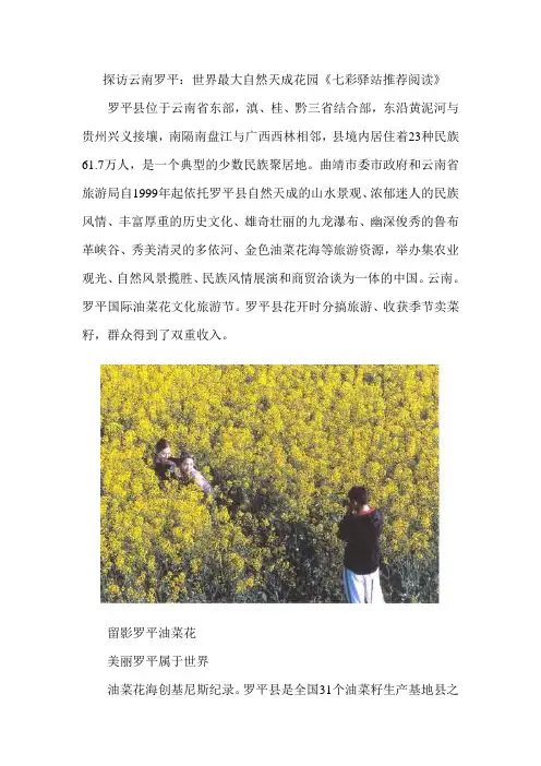 探访云南罗平：世界最大自然天成花园