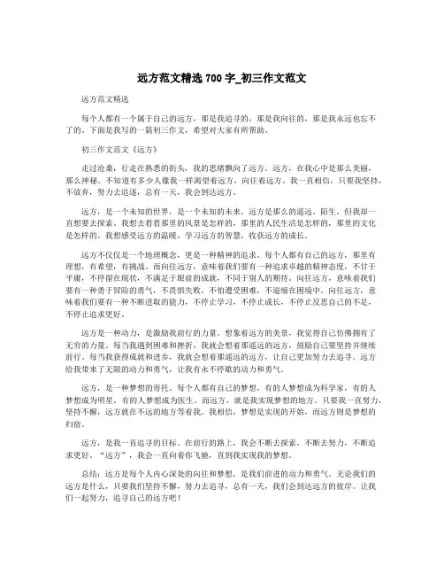 远方范文精选700字_初三作文范文
