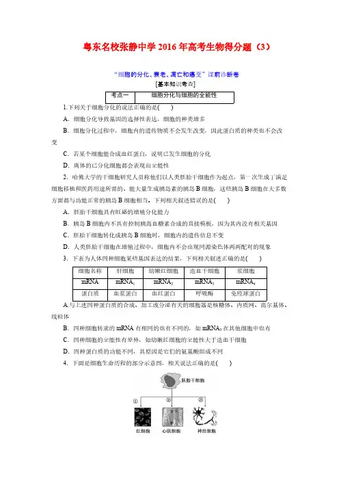 【VIP专享】粤东名校张静中学2016年高考生物得分题 (3)