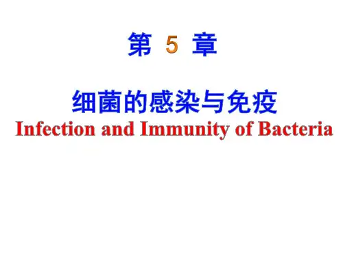 细菌的感染与免疫课件