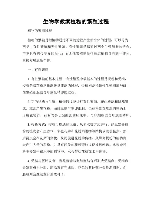 生物学教案植物的繁殖过程