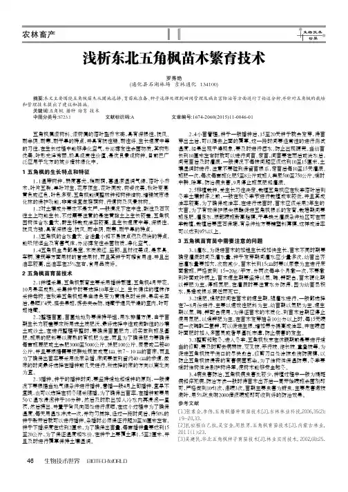浅析东北五角枫苗木繁育技术