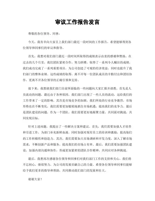 审议工作报告发言