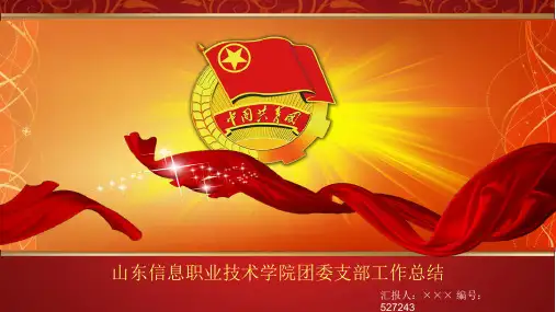 最新大学优秀团支部进申请ppt完整版