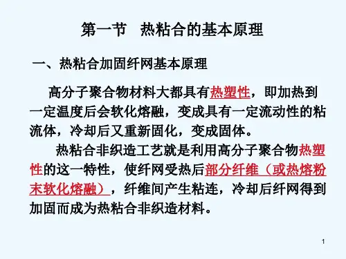 第五章热粘合工艺ppt课件
