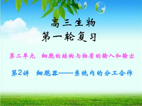 一轮复习：细胞器及生物膜系统要点