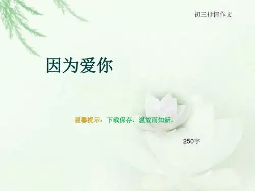 初三抒情作文《因为爱你》250字(总7页PPT)
