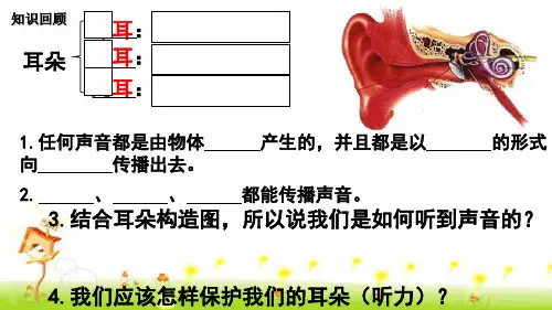 《10 各种各样的声音》课件2