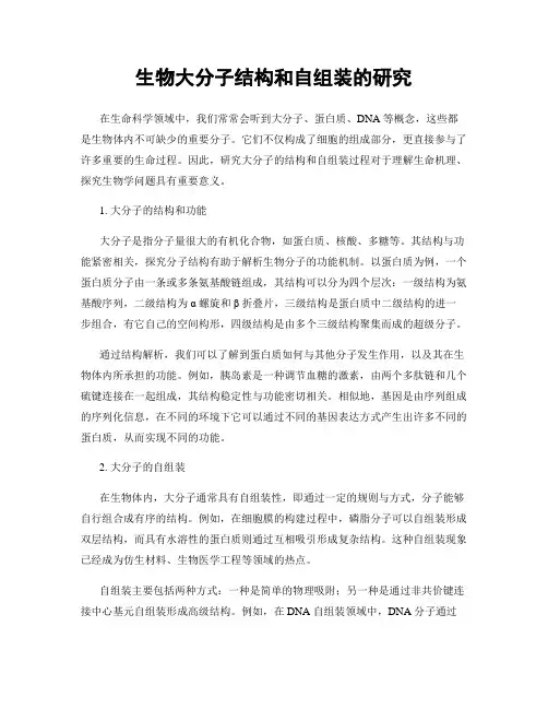 生物大分子结构和自组装的研究