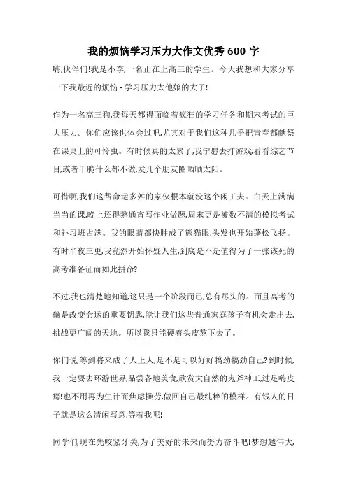 我的烦恼学习压力大作文优秀600字
