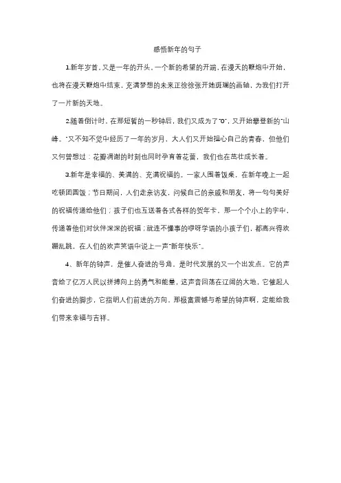 感悟新年的句子30字