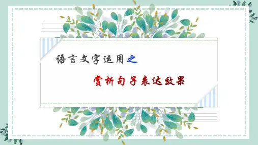 赏析句子表达效果 课件(共27张PPT)