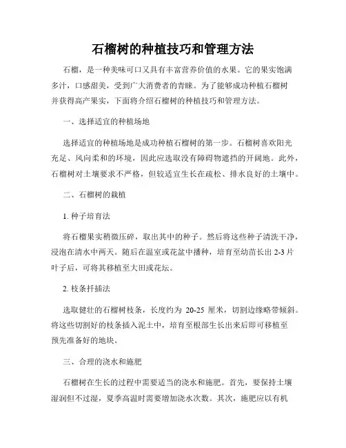 石榴树的种植技巧和管理方法