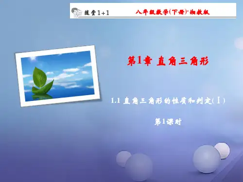 八年级数学下册 随堂训练 1.1 直角三角形的性质和判定(I)(第1课时)课件 (新版)湘教版