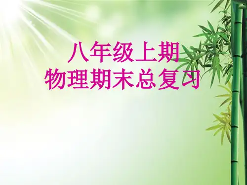 学校物理八年级的上册期末总复习.ppt