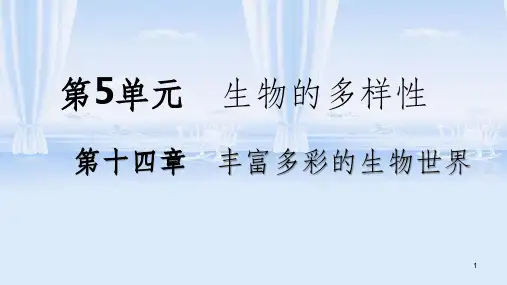 八年级生物上册 第十四章第一节五彩缤纷的植物世界(第2课时 苔藓植物和蕨类植物)课件 (新版)苏教版