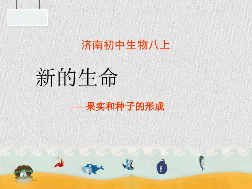 济南初中生物八上1第3节果实和种子的形成课件