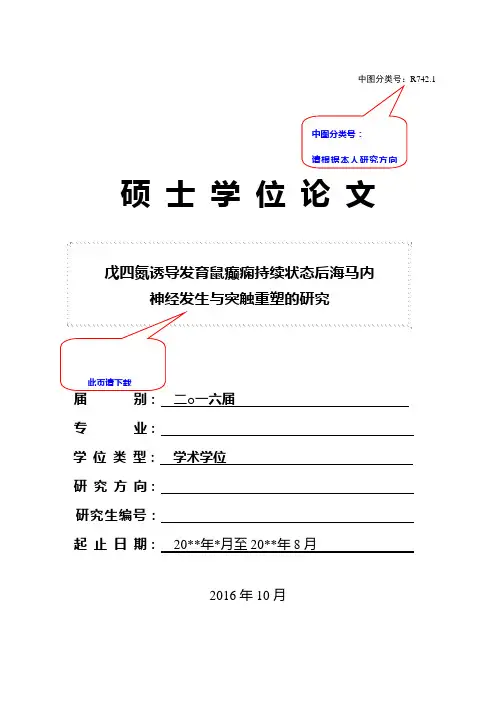 盲审论文格式-2016