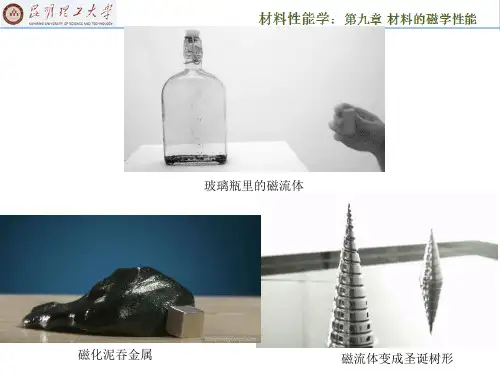 材料的磁学性能