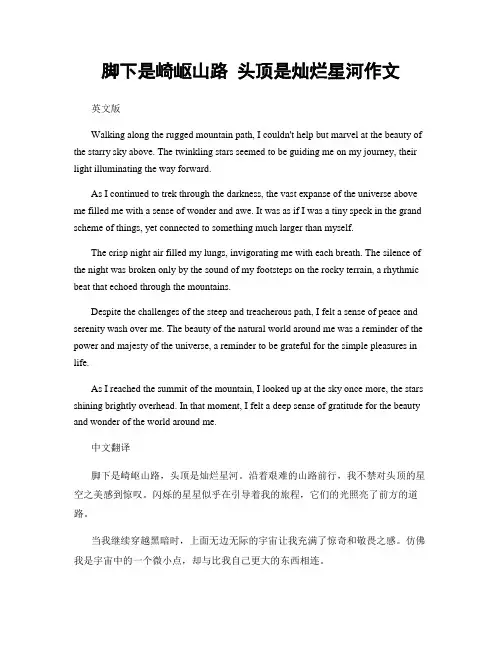 脚下是崎岖山路 头顶是灿烂星河作文