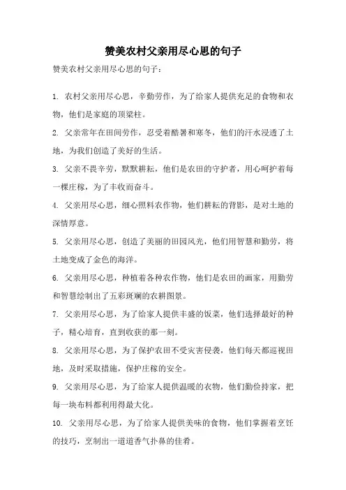 赞美农村父亲用尽心思的句子