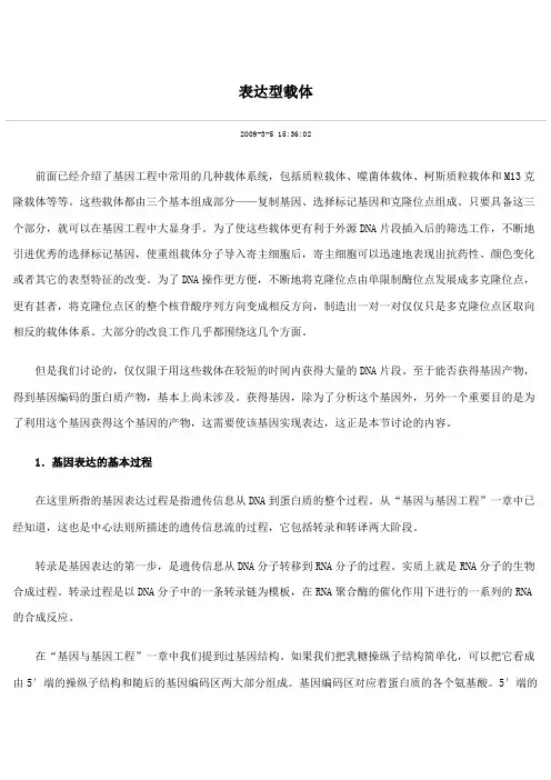 表达型载体
