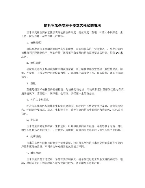 简析玉米杂交种主要农艺性状的表现