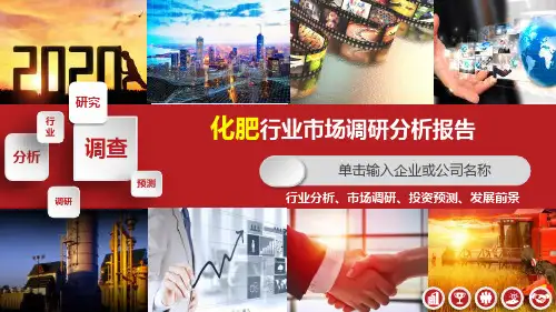 2020化肥行业分析研究报告
