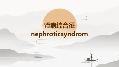 肾病综合征NephroticSyndrom