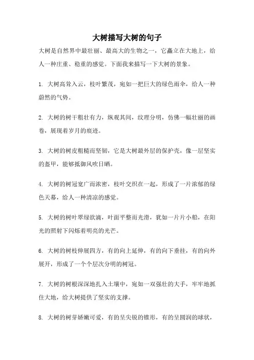 大树描写大树的句子