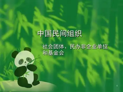 民间组织机构图ppt课件