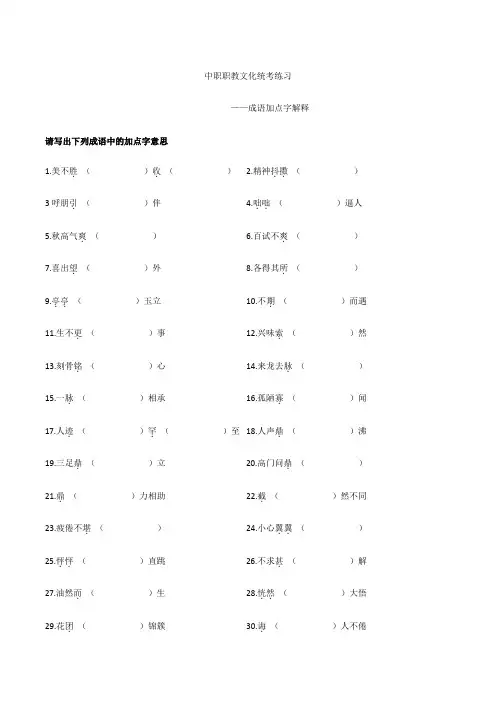 2024届中职职教高考文化统考练习之成语加点字解释