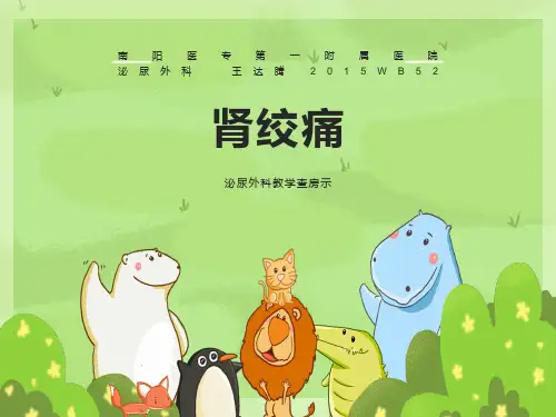 肾结石教学查房课件