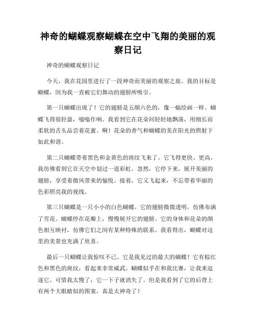 小学三年级作文神奇的蝴蝶观察蝴蝶在空中飞翔的美丽的观察日记