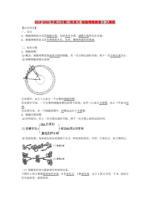 2019-2020年高三生物二轮复习 细胞增殖教案2 人教版