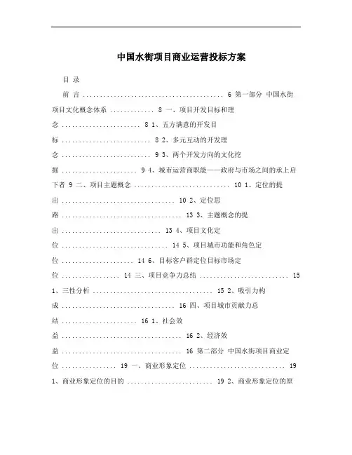 中国水街项目商业运营投标方案