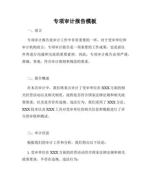 专项审计报告模板
