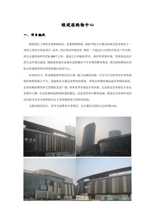 购物中心调研-颐堤港