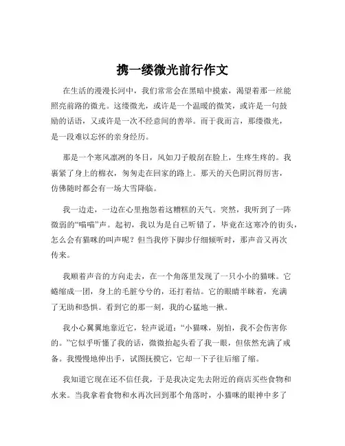 携一缕微光前行作文