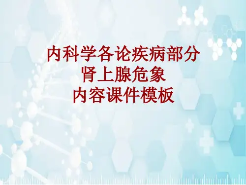 内科学_各论_疾病：肾上腺危象_课件模板